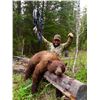 Image 4 : Shoshone Lodge Outfitters 5 day Black Bear hunt for 1 hunter in Wyoming