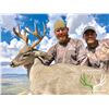 Image 3 : Diamond Outfitters 5 day Muzzleloader hunt for Coues Deer/Mtn Lion for 2 hunters.