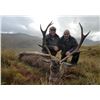 Image 1 : International Adventures Unlimited Red Stag Hunt for 1 Hunter in Scotland inc. Roundtrip Airfare.