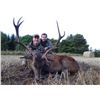 Image 2 : International Adventures Unlimited Red Stag Hunt for 1 Hunter in Scotland inc. Roundtrip Airfare.