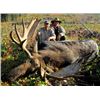 Image 1 : Omineca Guides Canada Moose hunt for 1 hunter in British Columbia