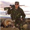 Image 4 : Algar Safaris 5 day hunt for Gold Medal Mouflon in Argentina