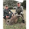 Image 2 : Choice of Aoudad or Axis Deer hunt and Alligator Gar Fishing, Texas, for 1 Hunter and 1 Observer