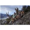 Image 1 : New Zealand 5 day hunt for red Stag with Chris Bilkey's Track and Trail Safaris