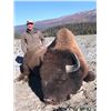 Image 1 : State of Alaska Governor's Permit for Bison, DI450 Chitina River Unit