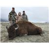 Image 2 : State of Alaska Governor's Permit for Bison, DI450 Chitina River Unit
