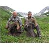 Image 1 : 10 day Hunt for Kamchatka Bighorn/Brown Bear in Russia