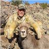 Image 3 : California State Governor's Permit for Desert Bighorn in the Cady Mountains Unit.