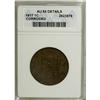 1817 1C 13 Stars AU55 ANACS