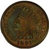 Image 1 : 1891 1C Red and Brown PR65 NGC