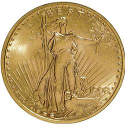 1908 $20 No Motto MS62 ANACS