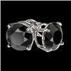 Image 3 : 2.50 ctw Fancy Black Diamond Solitaire Stud Earrings 10k White Gold - REF-42A2N