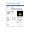 Image 4 : 8.45 ctw Tourmaline & Diamond Victorian Earrings 14K Yellow Gold - REF-250K8Y
