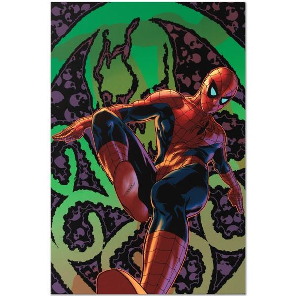 Marvel Comics "Amazing Spider-Man #524" Numbered Limited Edition Giclee on Canva