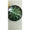 Image 2 : GREEN GRINDER