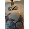 Image 8 : 2 Duck motif lamps