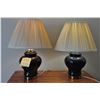 Image 2 : 2 dark lamps