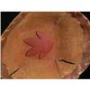 Image 2 : BIRCH BARK BOWL, BASKET, TEEPEE, WOOD SPOONS