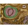 Image 3 : IROQUOIS BEADED PURSE GREASY GREEN