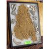 Image 1 : ANASAZI/PUEBLO POTTERY SHARDS, YUCCA MAT ARTIFACTS