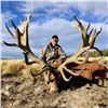 Image 1 : 5-Full day Argentina Big Game hunt for 1 hunter including Trophy Fee for 1 Red stag up to 320 SCI po