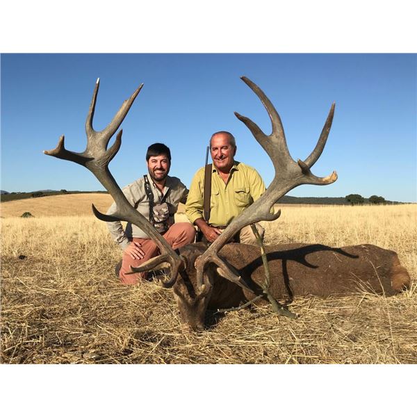 Spain - Giuseppe Carrizosa - Iberian Red Deer including Trophy Fee