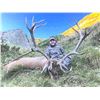Image 2 : Spain - Giuseppe Carrizosa - Iberian Red Deer including Trophy Fee