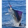 Image 1 : Crocodile Bay Resort - Deluxe 6 Day/5night Sport Fishing and Tourism Package for Two Guests