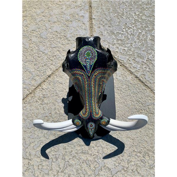 Warthog skull hand decorated from South Africa