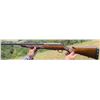 Image 3 : Tikka T3 sporting rifle - .308 caliber
