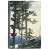 Image 1 : Homer - Old Settlers
