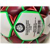 Image 2 : NEW Select Hand Stiched soccer ball