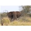 Image 1 : Zululand Photo Safari