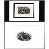 Image 1 : Lot of (2) 1800's Vignette from Original Proof Plates