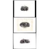 Image 1 : Lot of (3) 1800's Vignette from Original Proof Plates