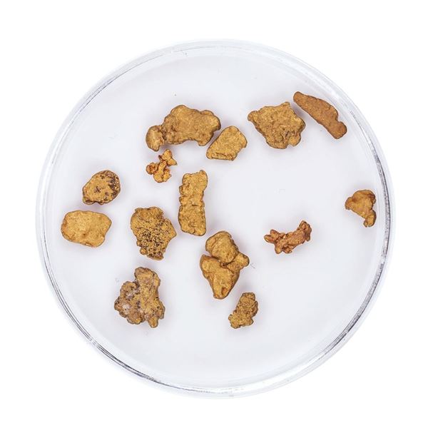 Lot of Gold Nuggets 2.58 Grams Total Weight