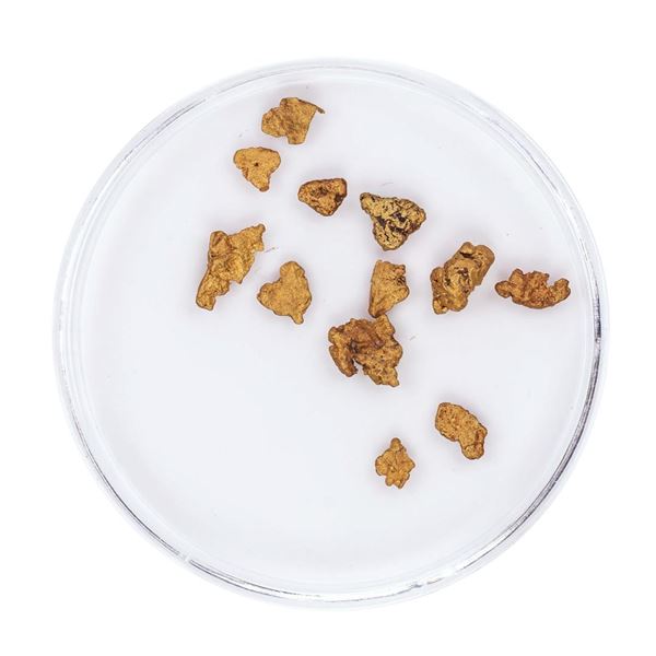 Lot of Gold Nuggets 1.57 Grams Total Weight