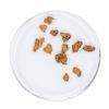 Image 1 : Lot of Gold Nuggets 1.57 Grams Total Weight