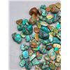 Image 2 : Over 1100 Carats of Drilled Turquoise Beads