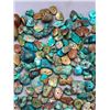 Image 3 : Over 1100 Carats of Drilled Turquoise Beads