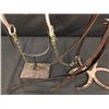 Image 10 : Old Spotted Leather Cowboy Bridle with Crockett Bit