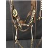 Image 13 : Old Spotted Leather Cowboy Bridle with Crockett Bit