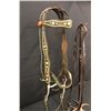 Image 1 : Old Spotted Leather Cowboy Bridle with Crockett Bit