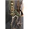 Image 4 : Old Spotted Leather Cowboy Bridle with Crockett Bit