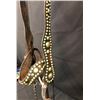 Image 6 : Old Spotted Leather Cowboy Bridle with Crockett Bit