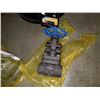 Image 2 : THREE 3/4 INCH GATE VALVES