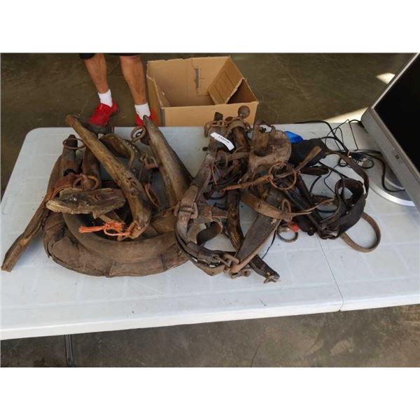 LOT OF HORSE TACK, COLLAR, HANES