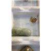 Image 7 : TRAY OF JEWELRY