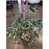 Image 3 : ARTIFICIAL TREE