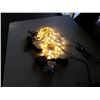 Image 1 : 2 - 16 foot strands of Wi-Fi controlled lights